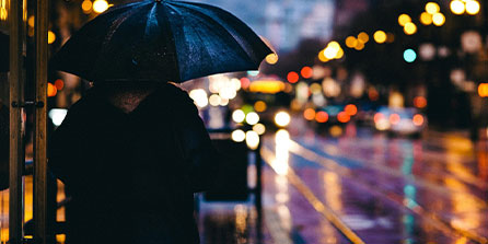 戈贝尔：正是爱德华兹的组织能力 让他变得完全不可阻挡